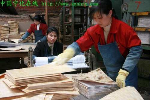 寧化林產(chǎn)工業(yè)實現(xiàn)首季“開門紅”