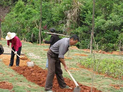 寧化公路分局“省界碑行動”成績斐然