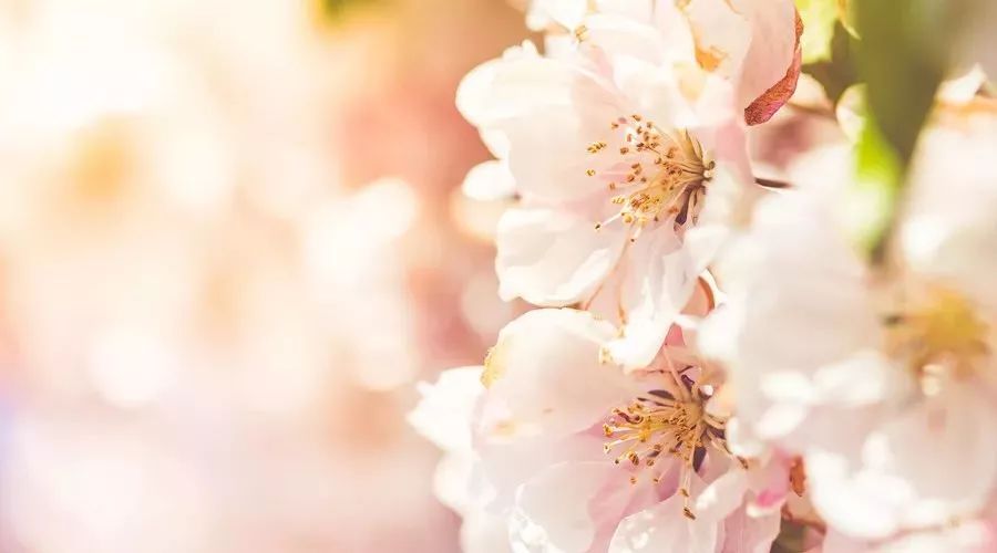 春捂該咋捂 一招搞定！