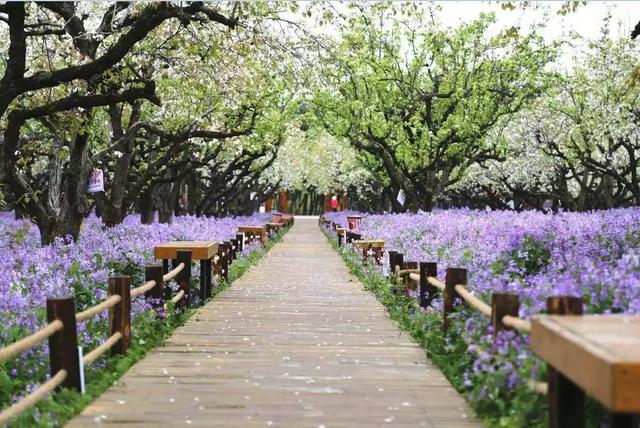 養生妙招 幫您應對“夏乏”
