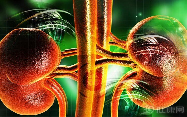 夏天吃陳皮 4個好處收入囊中!