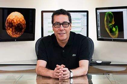 人類受精卵是怎樣發育成胎兒的？