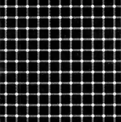 它活了4億年 靠藍色血液救死扶傷