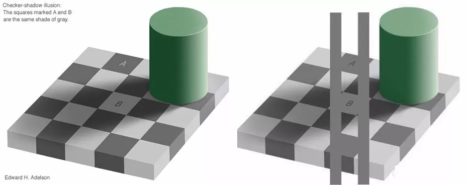 它活了4億年 靠藍色血液救死扶傷