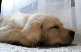 為什么一下雨就想睡覺 還睡得特別香？