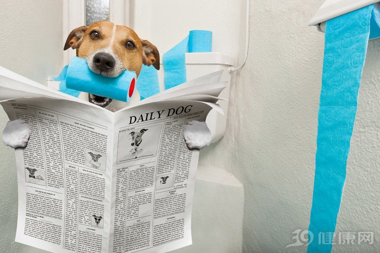 關(guān)于長壽，你有4個真相要知道！