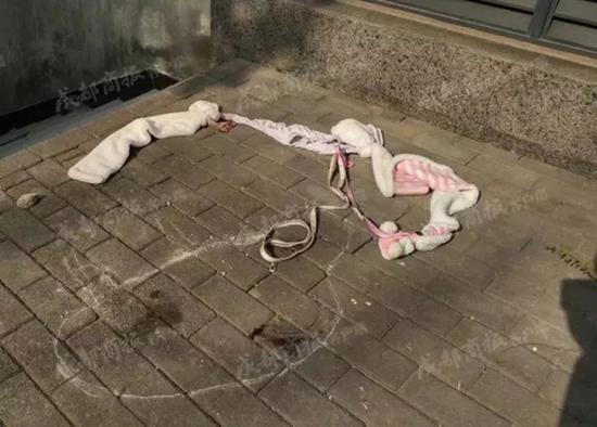 在狗摔下來的地方還有沾著鮮血的繩子。 &nbsp;成都商報 資料圖