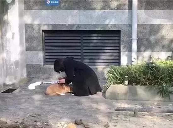 女孩旦旦在何興麗家樓下發現了自己的柯基狗。 本文圖片均來自“深一度”（除署名外）