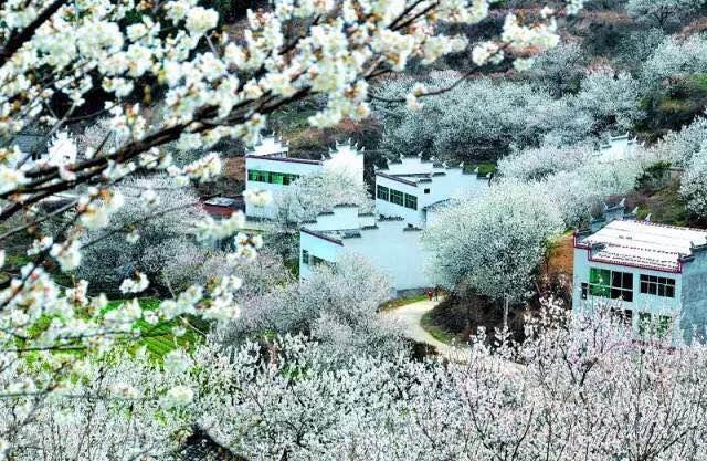 福建農村戶口升值 這些人身價暴漲