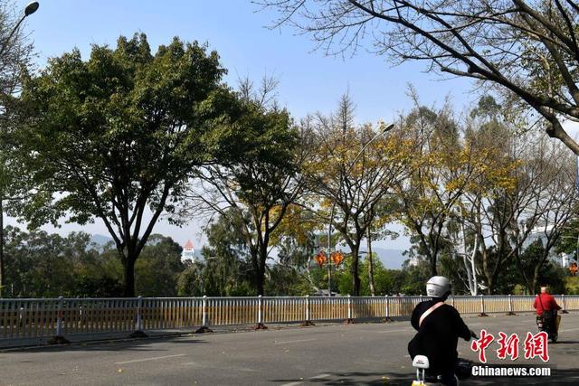 別樣福州 春日賞秋景