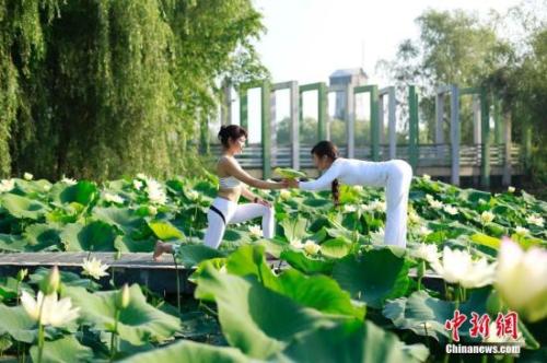 雙人“瑜伽秀”。 湯德宏 攝