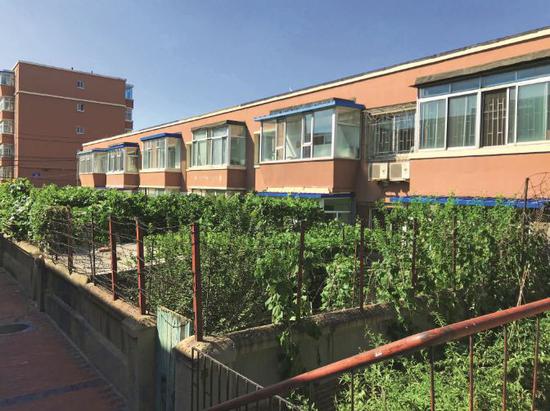 吉林省長春市，在長春生物制品研究所家屬小區(qū)中，有三排18戶小二層，每戶約100平方米。上世紀(jì)八九十年代，長生所職工稱這里為“小中南海”，只有研究所的書記、所長、副所長或離休干部才能分配到這里的房子。攝影/李明子