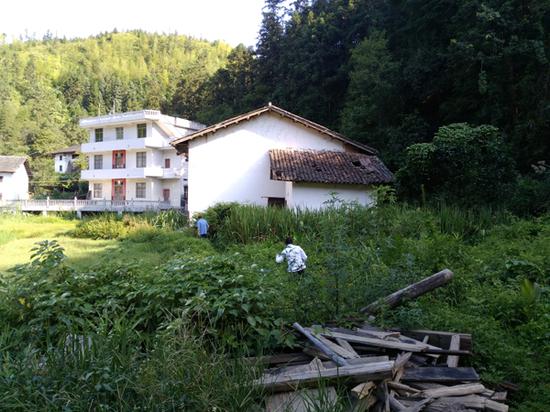 7月20日，李錦蓮與女兒時隔多日回到家中，小路已被荒草淹沒，屋旁荒草叢是老房子原址。