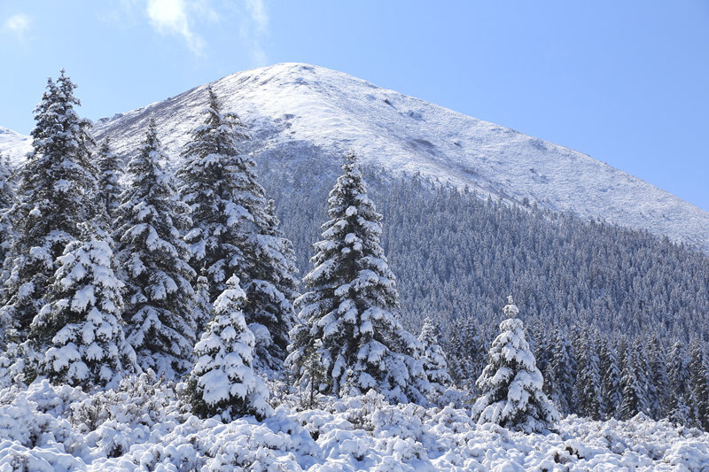 【8點見】香港各界揭批教育界亂象：教育改革勢在必行