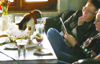 左手咖啡右手抱貓 寵物餐廳衛生風險誰來監管?