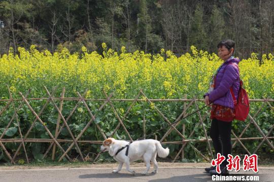 多城出臺養犬新政 縱犬、虐犬都將面臨重罰!