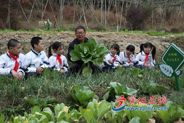 抓魚？采摘果蔬？寧化方田中心學(xué)校的文化藝術(shù)節(jié)竟這樣玩