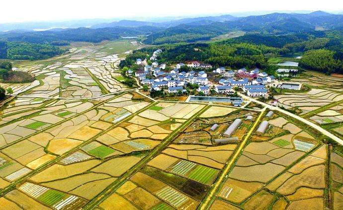 【地評線】土地承包關系“長久不變”是為了“更好改變”