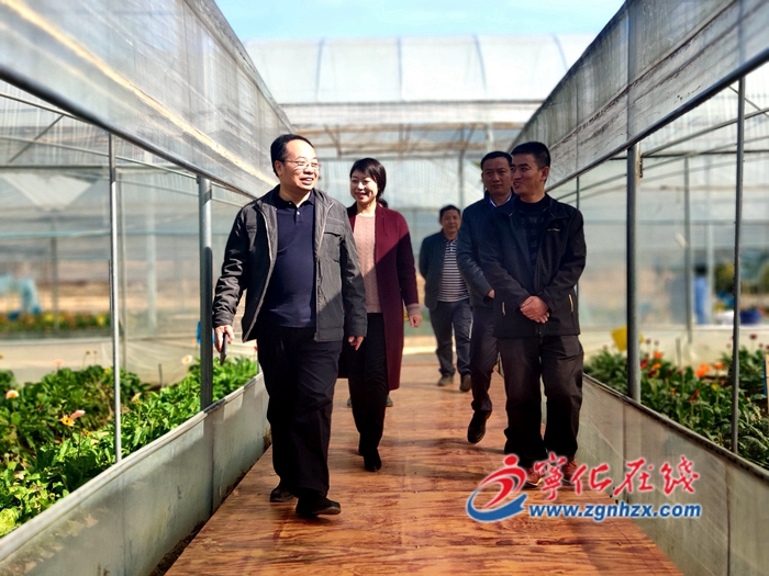 省財政廳調(diào)研組來寧化調(diào)研