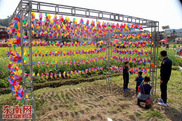 花海暢游 泉州洛江虹山油菜花文化節(jié)開(kāi)幕