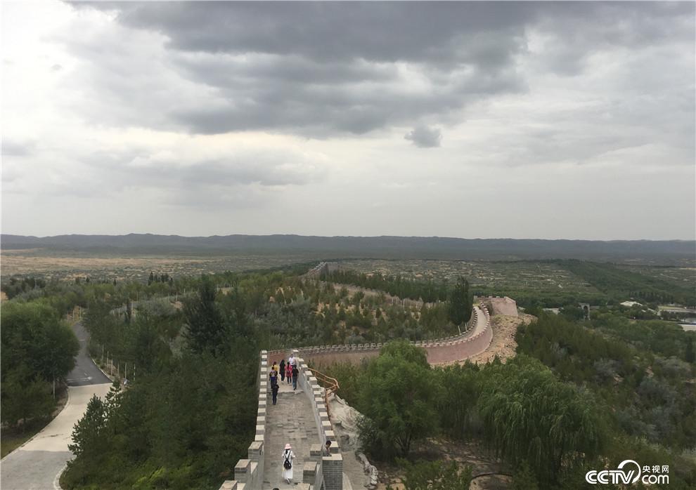 昔日沙洲也有了郁郁蔥蔥的模樣