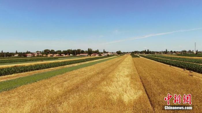 全球還有6.9億人在挨餓!我們該如何端牢飯碗?