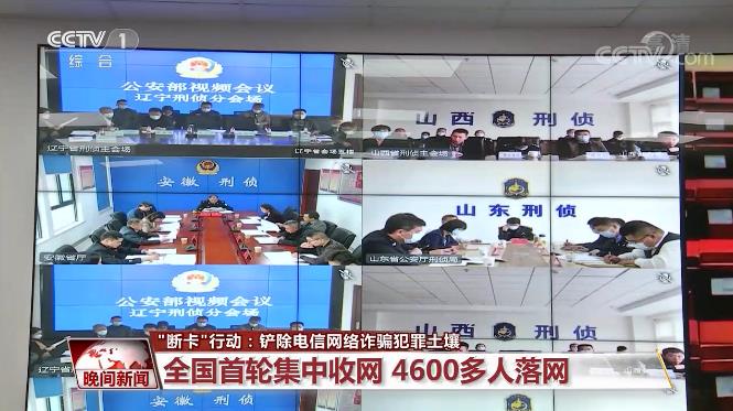 “斷卡”行動首輪集中收網 這三類人員成重點打擊對象