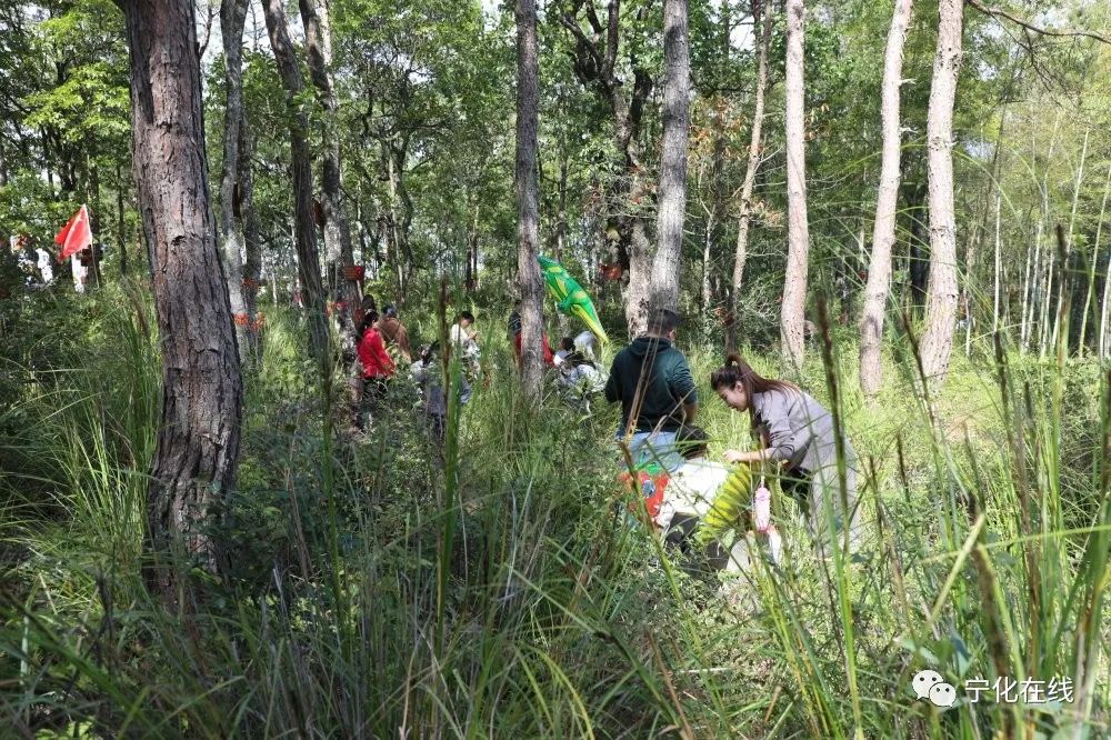 【鄉村振興】石壁鎮第二屆商貿旅游節圓滿落幕,快來圍觀!