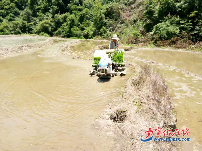 寧化供銷:當好服務“三農”生力軍