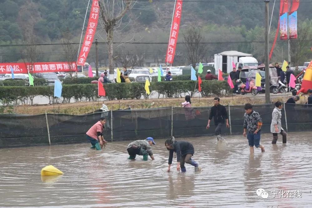 【中國綠都·最氧三明】寧化安遠鎮(zhèn)舉行第二屆文化旅游節(jié)