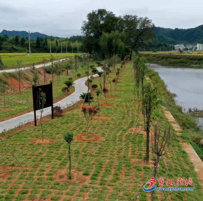 【中國綠都 最氧三明】寧化水茜鎮：以水為筆 繪綠色生態畫卷