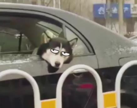 人為什么會暈車？暈動病的原因及癥狀，預(yù)防暈車的6個小妙招