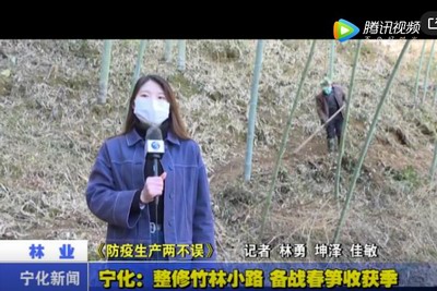 寧化：整修竹林小路 備戰春筍收獲季