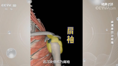 【名醫(yī)話健康】肩疼不一定是肩周炎，小心是不可自愈的肩袖撕裂！