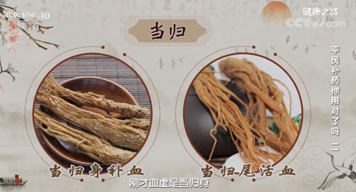 【名醫話健康】當歸身！當歸尾！記住了，千萬別吃錯！