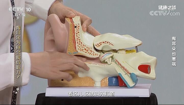 【名醫話健康】還在掏耳朵？快停下！掏耳朵可能會把耳朵給掏聾！