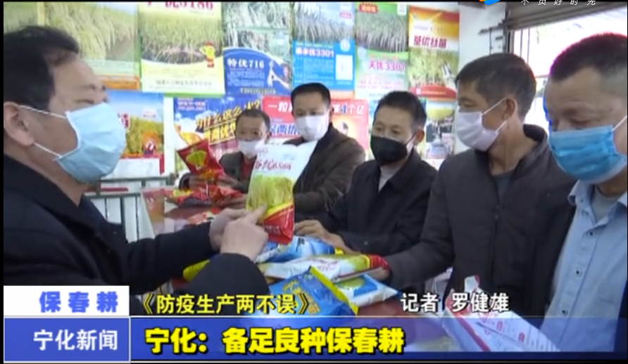 寧化：備足良種保春耕