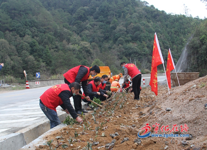 寧化：義務(wù)植樹(shù) 建設(shè)生態(tài)公路