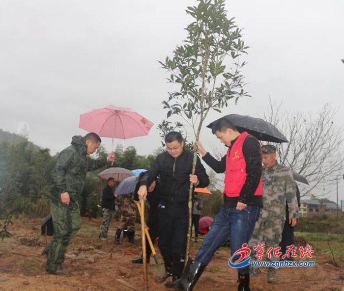 寧化安遠：干群植樹添新綠