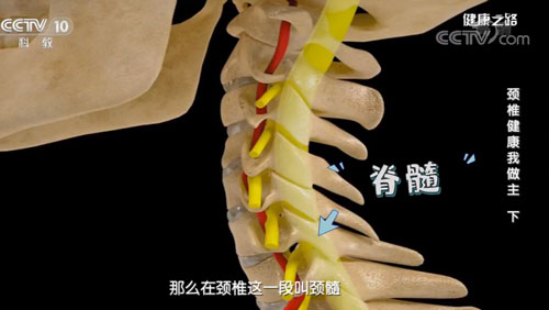 【名醫話健康】手腳發麻別不在意！嚴重時可導致癱瘓