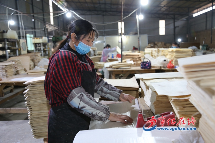 寧化：一企一掛包 推進林業企業有序生產