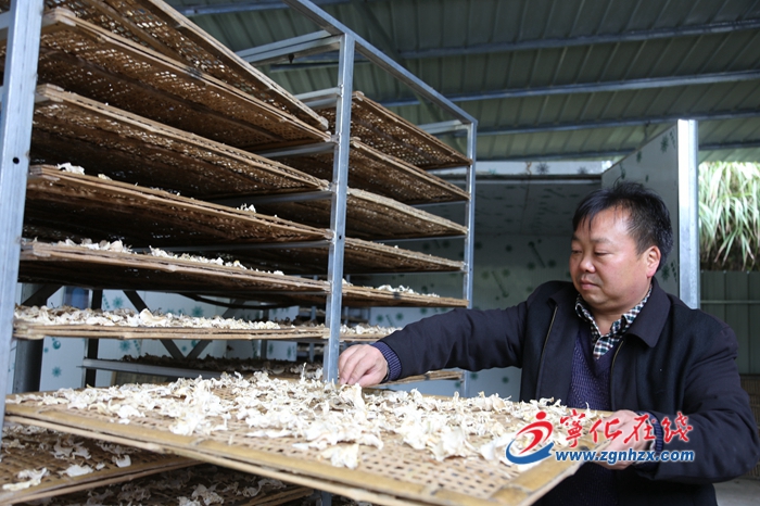 寧化畬鄉：筍竹加工創產值4755萬