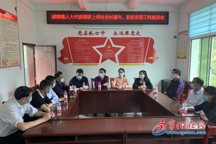 寧化城南鎮：人大代表調研鄉村振興和脫貧攻堅工作