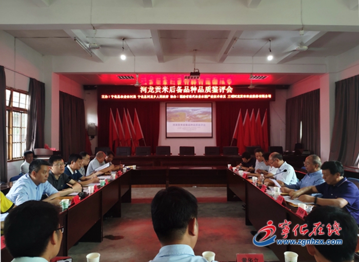 寧化舉辦第二屆河龍貢米后備品種品質鑒評會