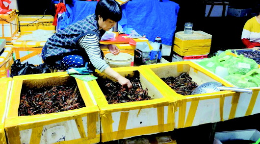 小龍蝦猛降價(jià)吃貨們不買賬 每斤便宜5元銷量遠(yuǎn)不及去年