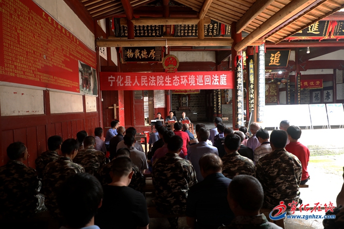 寧化：巡回審理盜伐林木案件