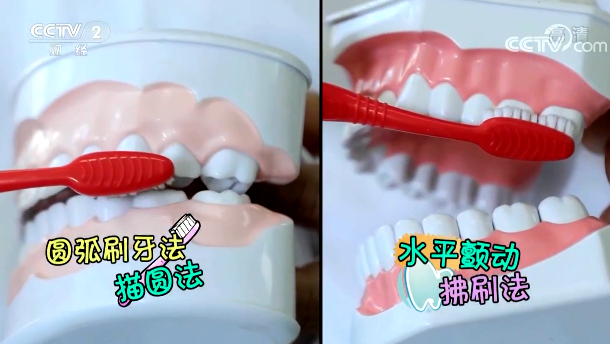 【快看·健康】簡單易學(xué) 兒童刷牙方式學(xué)起來