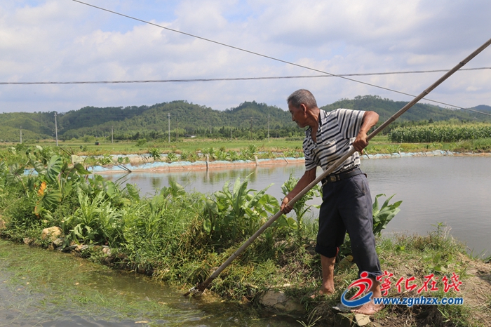 【小康來敲門】馬新林：養生態魚 走致富路