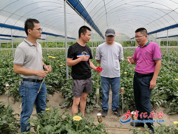 【滿意在三明】省農科院專家送技術下鄉，助農增收