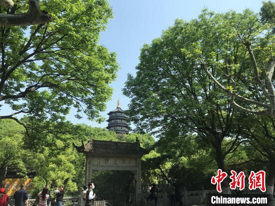 男子杭州雷峰塔“搬磚” 被警方處以行政處罰